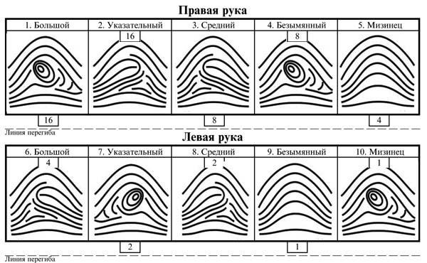 Задачи региональных ассоциаций