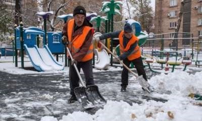 Как правильно скашивать траву на придомовой территории