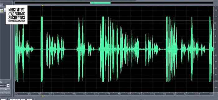  Какие фонограммы предоставляют на экспертизу 