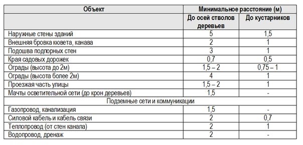 Соблюдение дистанции при ландшафтном проектировании