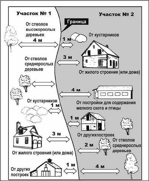 Сколько метров от многоэтажного дома можно сажать деревья? Ответы пользователей