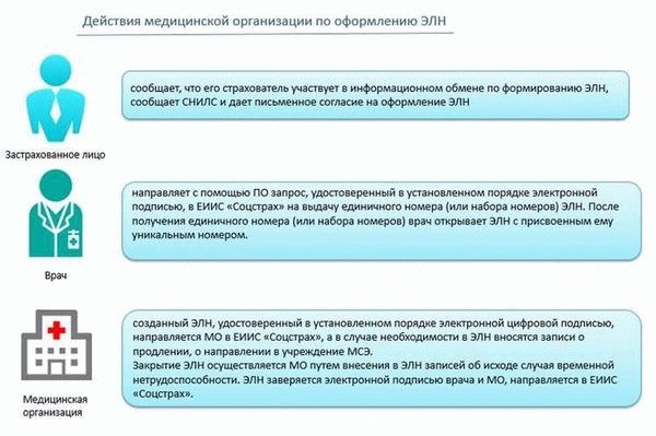 Сроки оформления больничного листа