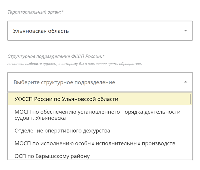 Что такое и зачем нужен розыск в исполнительном производстве