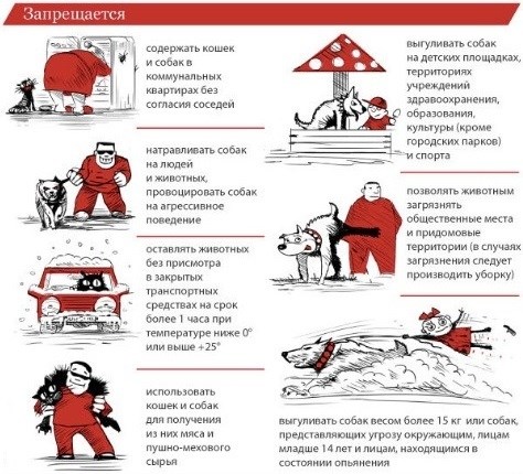 Штрафы и другие наказания за нарушение правил выгула собак